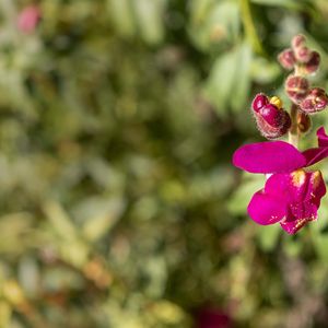 自由和孤独原来是同义词