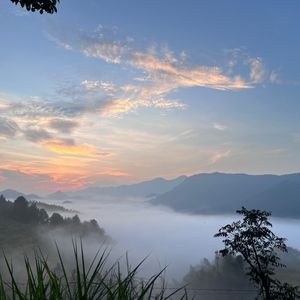 我本想边走边爱