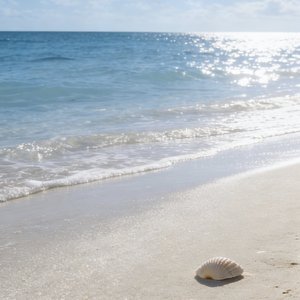 正午海边治愈时光