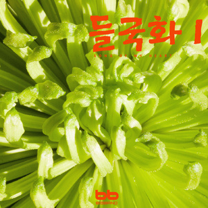 섬진강에서 At Seomjingang River