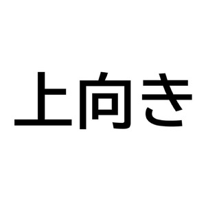 上を向くなら上向き堂