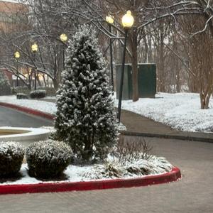 Our Time (feat. DJ Gringo, Vibe, Amina, Dayjih & Josie)