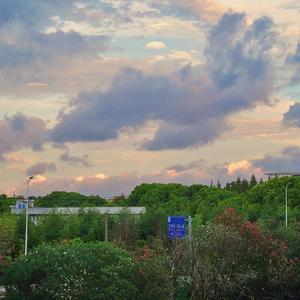 迟来的情话(吉他版)