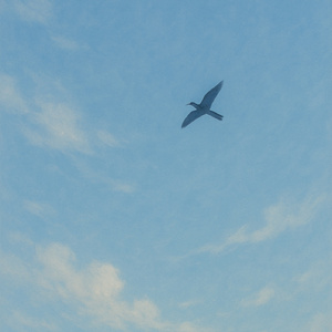 Todo voo bonito começa do chão.