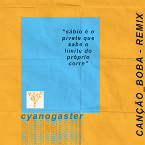 Canção Boba (Remix)