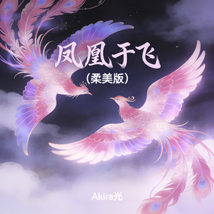 凤凰于飞(柔美版)