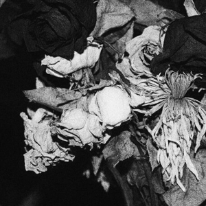 i cant stand you (feat. ʎpoqou)