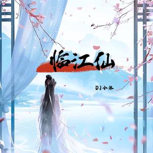 临江仙（DJ小沐 版）