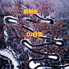 沈阳的夜晚有魔力