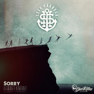 Sorry (I Didn't Know)