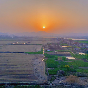 同桌的你 口琴版