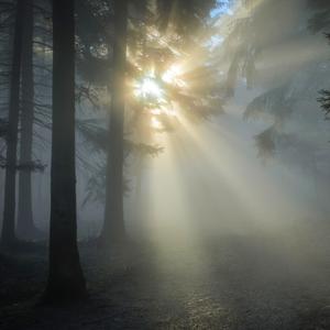 Distant Lights