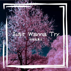 Just Wanna Try