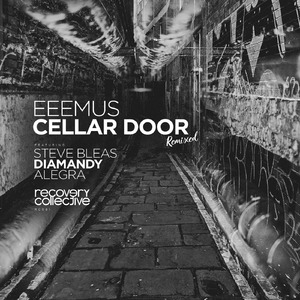 Cellar Door (Steve Bleas Remix)