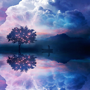 ﹌﹌﹌(真诚才是底牌）