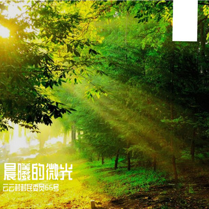 晨曦的微光 伴奏