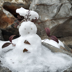 《乘着歌声的翅膀》