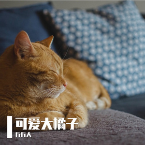 《可爱大橘子2》