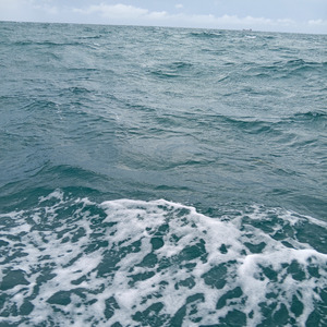 Enjoy the beauty of a beach day