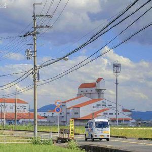 负我不负她（铃声）