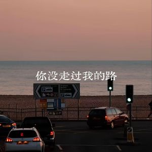 你没走过我的路