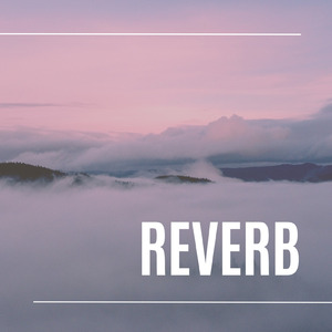 REVERB