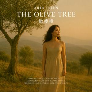 橄榄树 olive tree