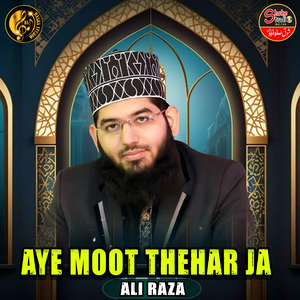 Aye Moot Thehar Ja (1)