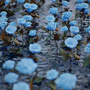 青春的颜色(女生完整版）