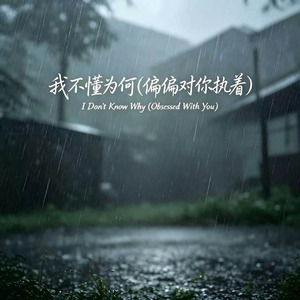 我不懂为何