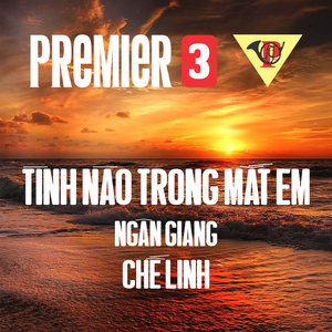 Tình Nào Trong Mắt Em (1972)