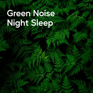 Restful Night Blanket