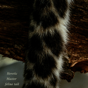 feline tail