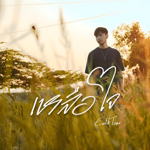 เหลือใจ