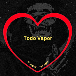 Todo Vapor (Slowed + Reverb)