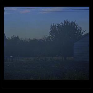 The Night Garden (feat. lil scandic)