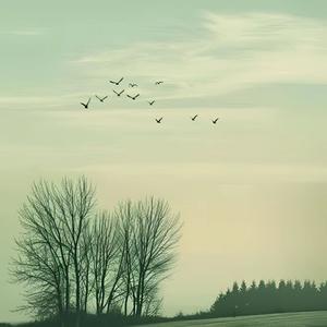 都说爱江山美人（阿悠悠） 伴奏