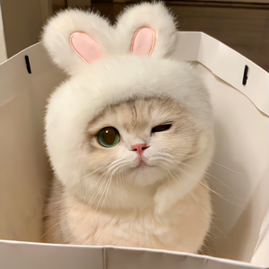 海屿你（这基米的漩涡 快把我吞没）