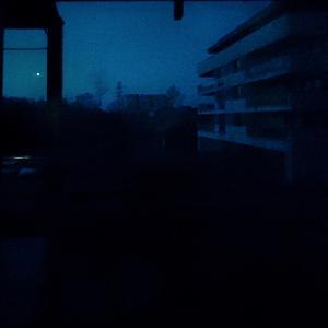 The Moonlight Paradise