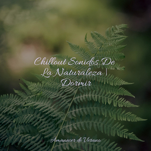 Susurros melódicos del camino acuático