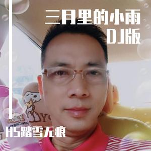 三月里的小雨（DJ版）