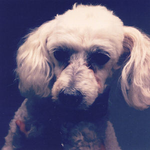 The Biggest Difference