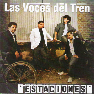 Estúpido