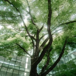 不后悔这场遇见