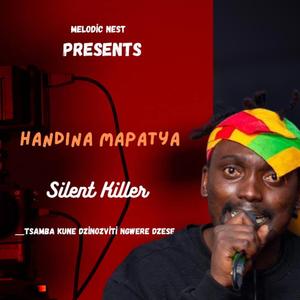 HANDINA MAPATYA(NGWERE LITE DISS) (feat. Silent killer)