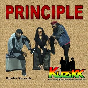Principle