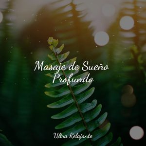 Conduciendo