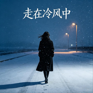 走在冷风中（抖音热版）
