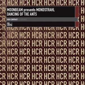 Dancing Of The Ants