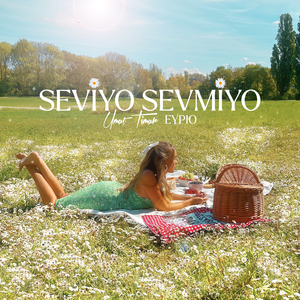 Seviyo Sevmiyo